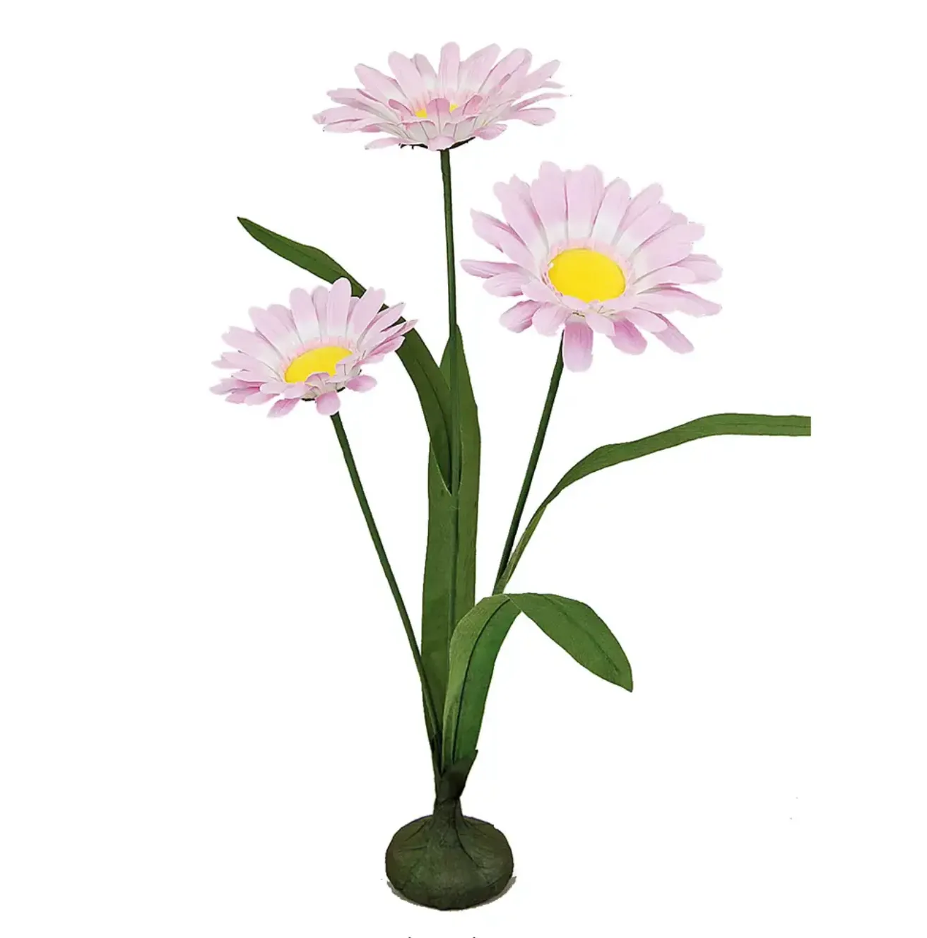 23 Free Standing Daisies, Pink