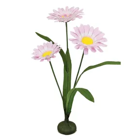 23 Free Standing Daisies, Pink