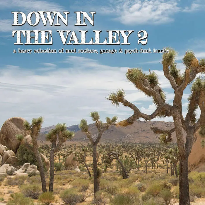 VA: Down In The Valley 2 LP